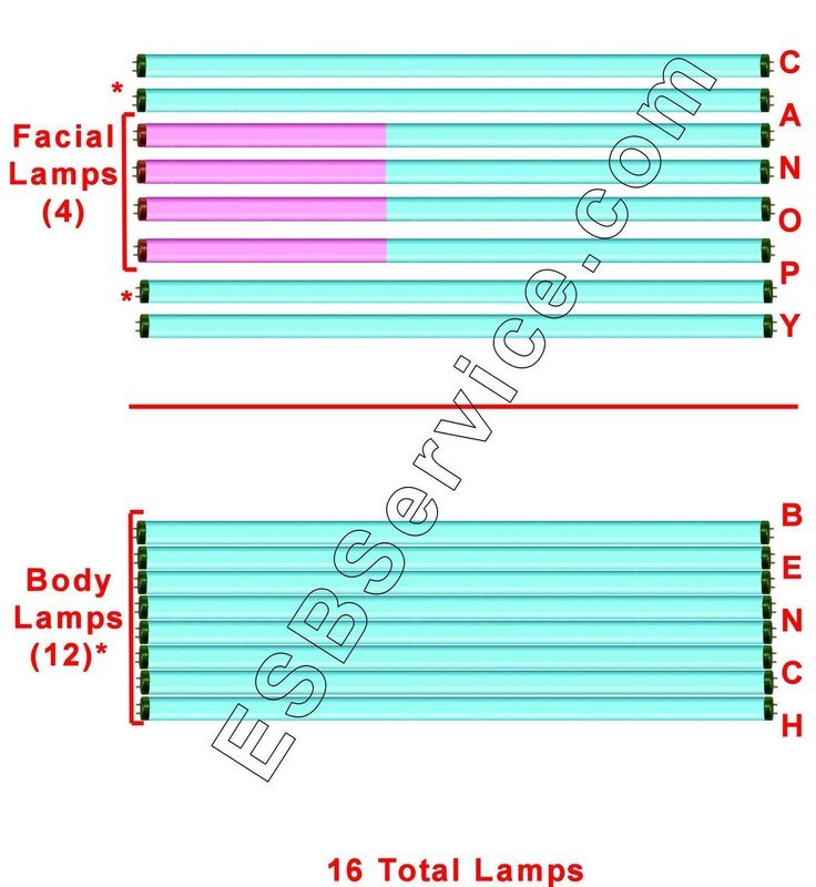 16 Elite Gold Super RX Body with Face Tanning Lamp Kit Equivalent OEM Replacement