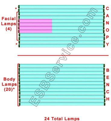 24 Elite Lamp Kit, Sunergy ESB with Face