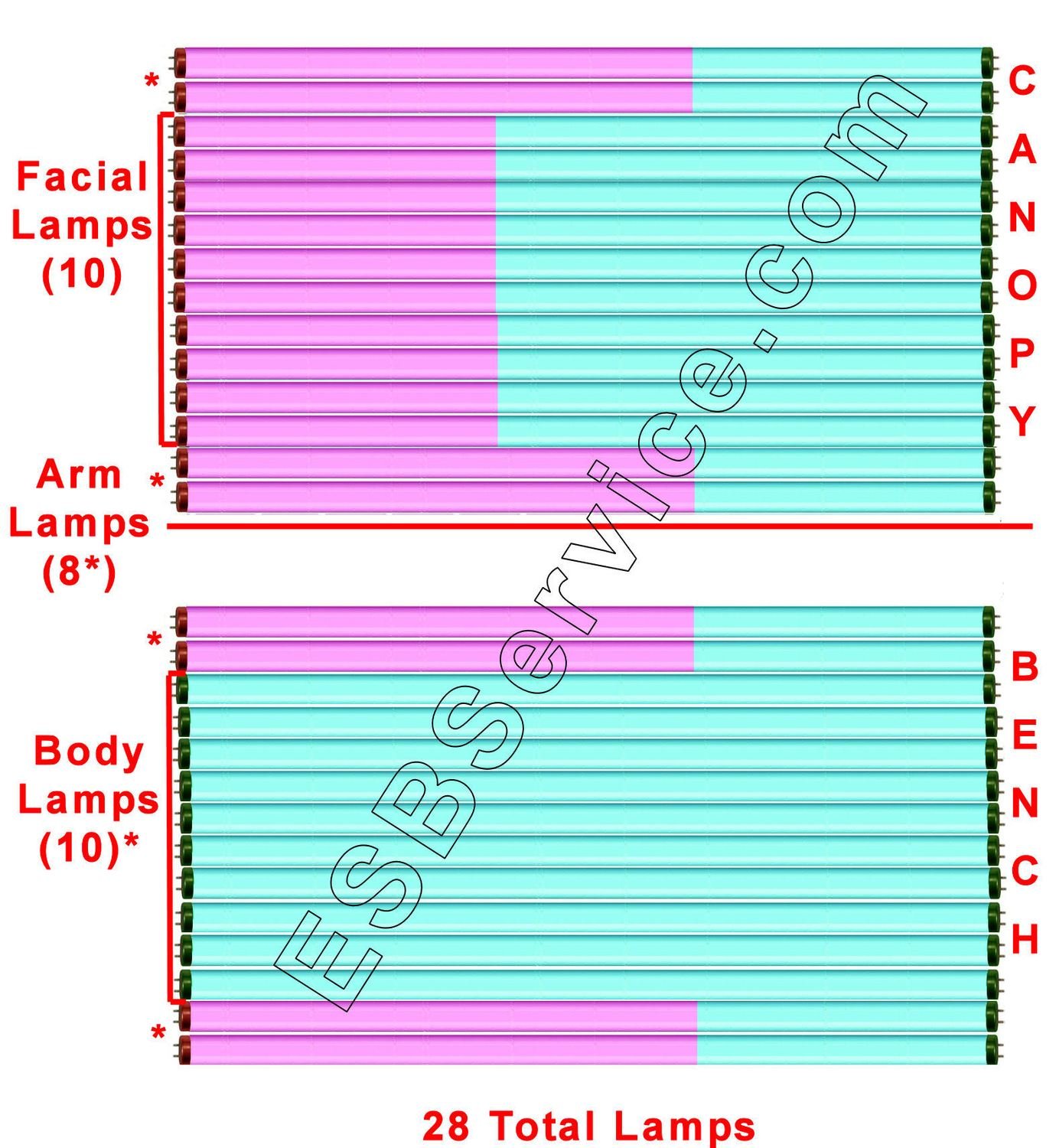 28 Grande Lamp Kit, Sunergy Body with Face