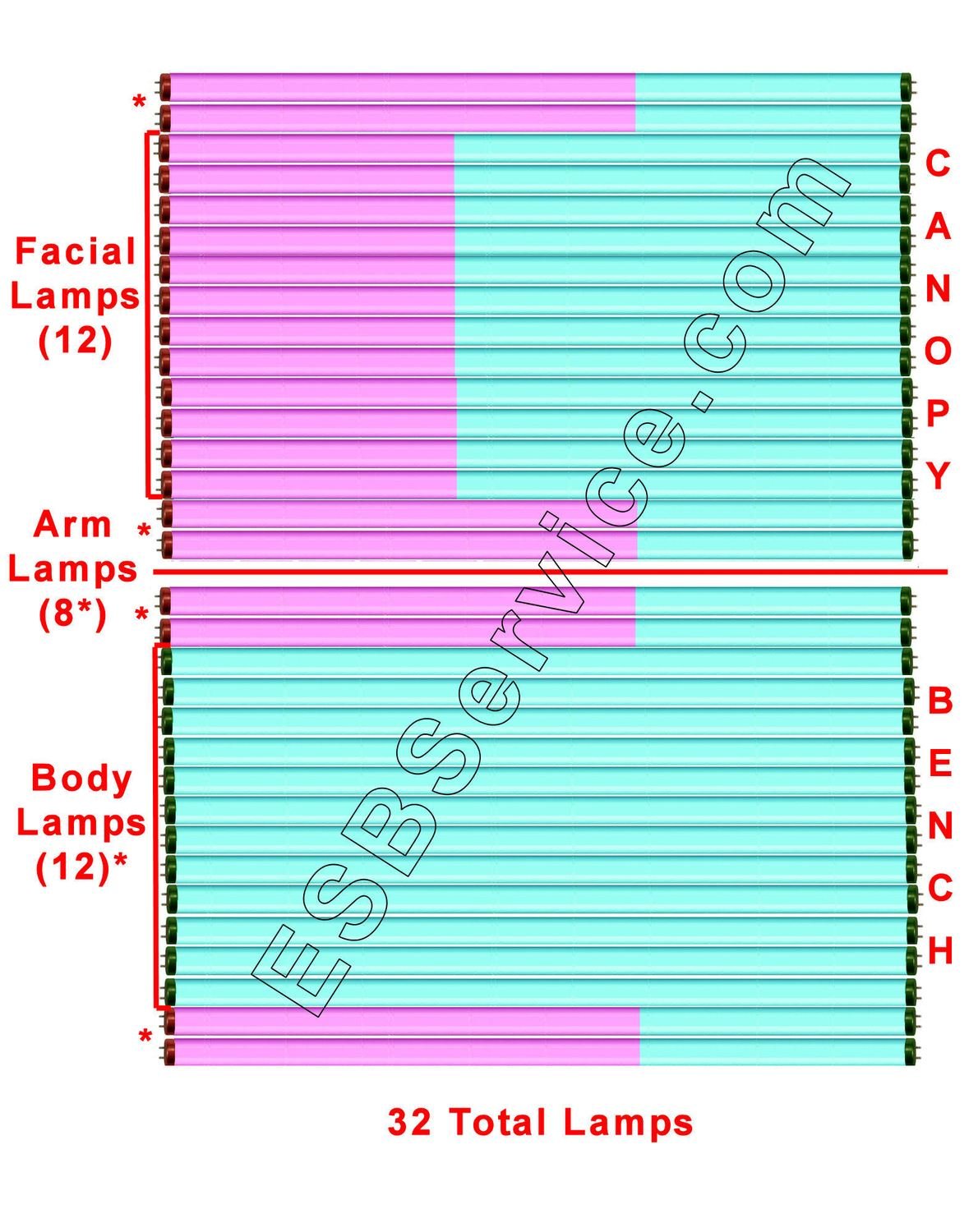 32 Avalon Lamp Kit, Sunergy with Face and Arm 20 Minute
