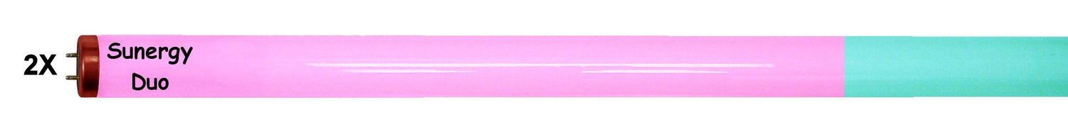 2 Pack Sunergy Duo Tanning Lamps 20 min.