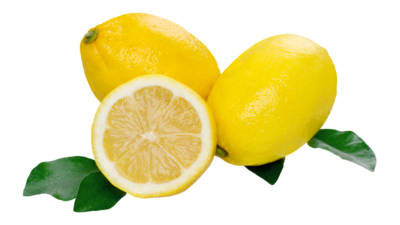 Limoni bio "VERNA" 10kg. Prodotto disponibile
