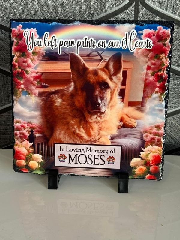 Pet memorial slates 20x20cm