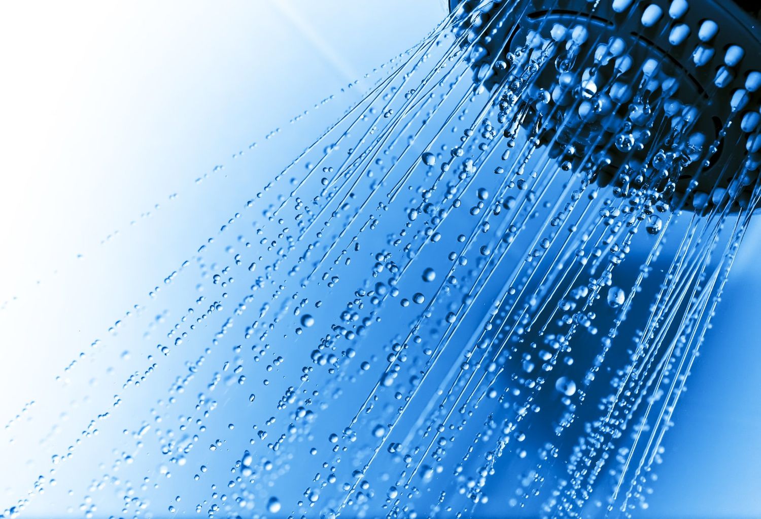 POMMEAU DE DOUCHE