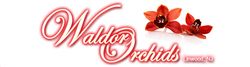 Waldor Orchids