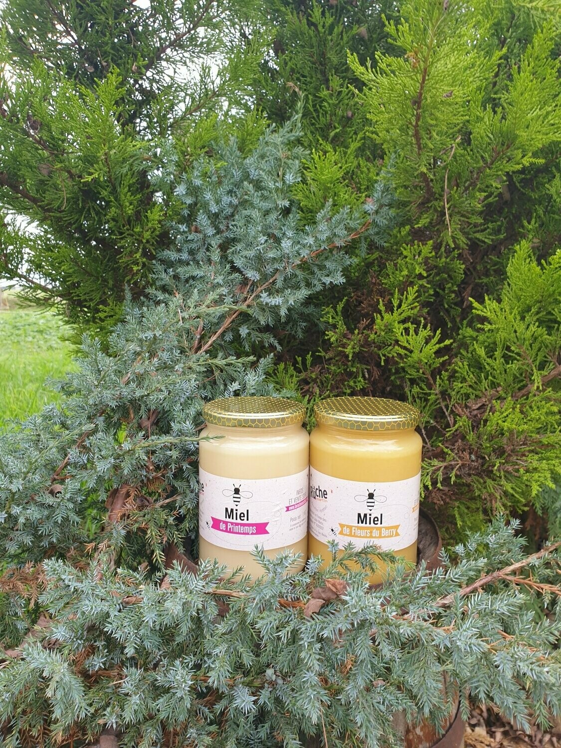 Duo de miel crémeux