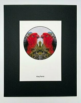 King Parrot Print