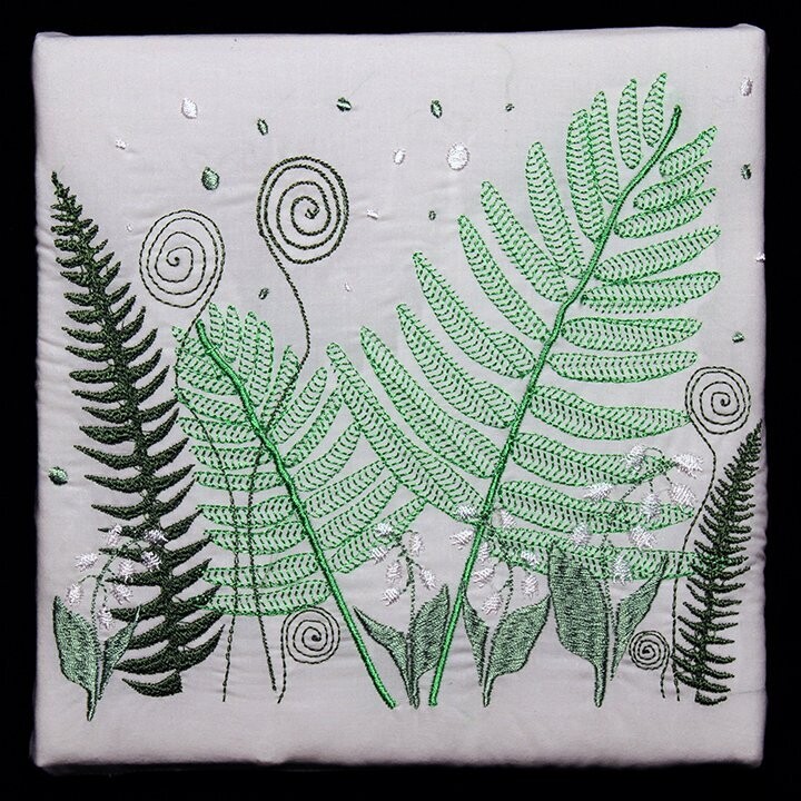 Ferns