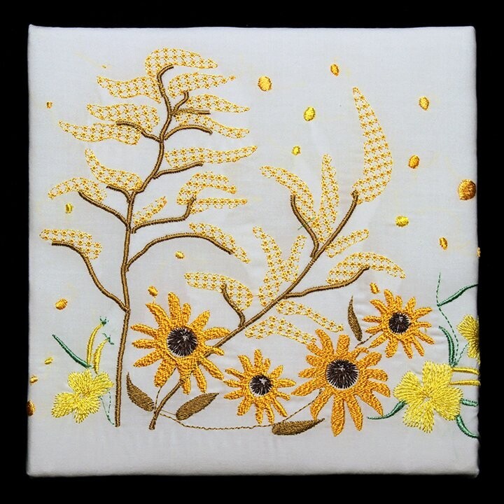 Blackeye Susans