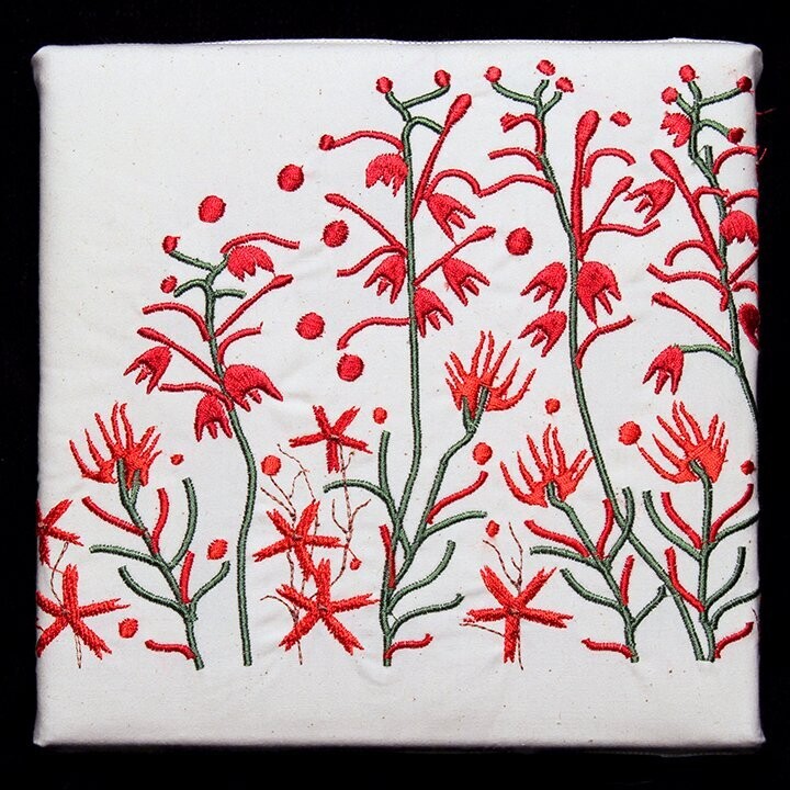 Fire pinks