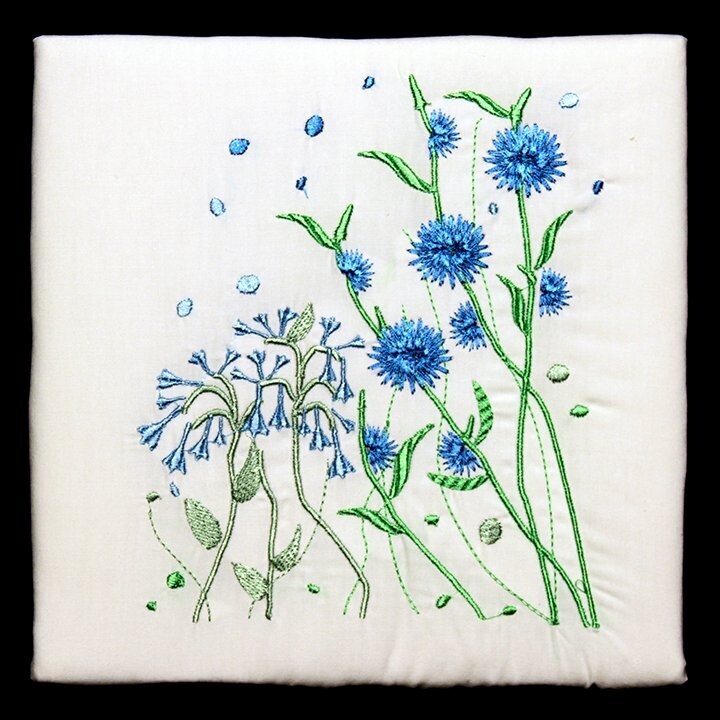 Chicory
