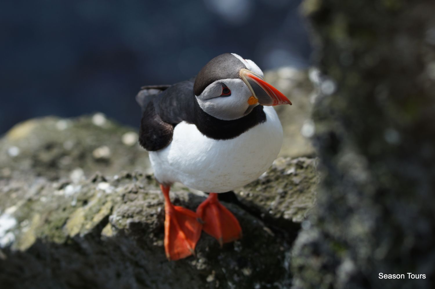 Iceland autumn harvest Tour: August 21st, 2025 - 6 days / 5 nights