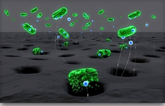 Glacier - 3 stage Water Purifier System with Quantum Disinfection.