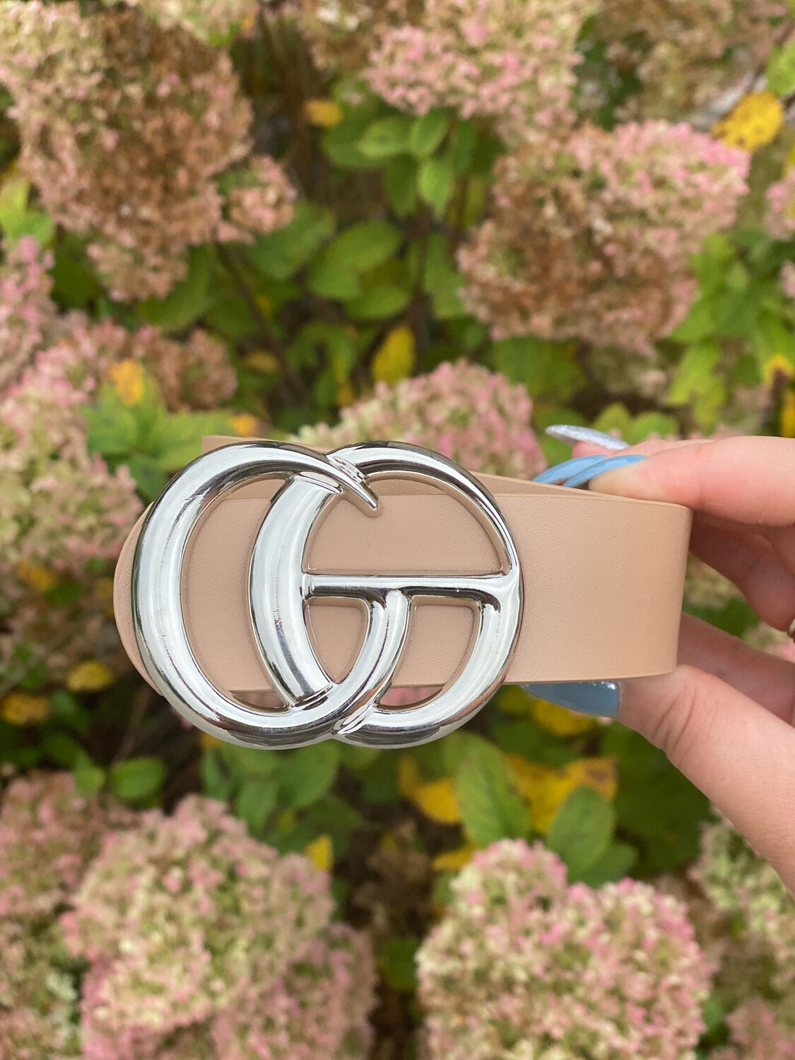 Taupe Shiny Silver Belt