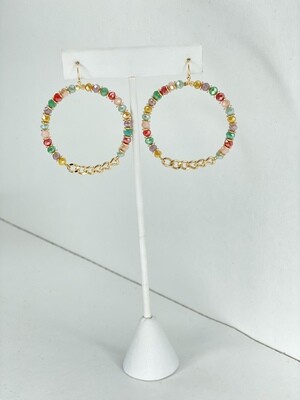 Multi Color Gold Chain Earrings 