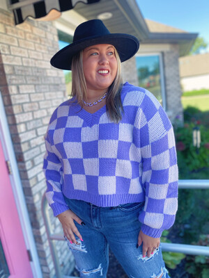 Periwinkle Checked V Neck Sweater