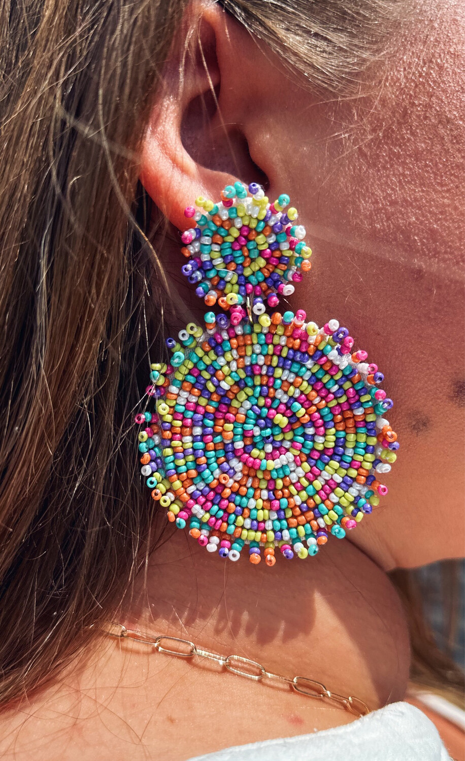 Multi Color Double Circle Earrings