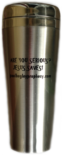 SILVER Stainless Steel Travel Mug