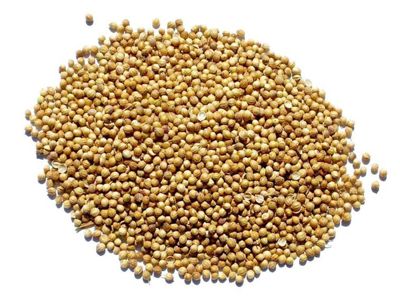 Coriander Seed - Whole