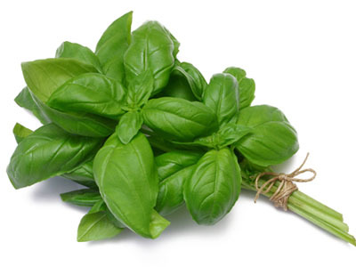 Basil Leaves – Rubbed