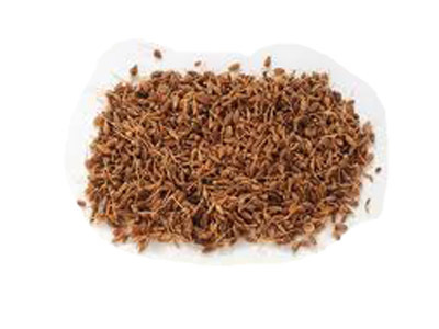 Aniseed - Whole