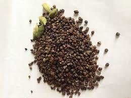 Cardamom Seed -Whole