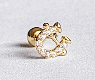 Lucky Horseshoe