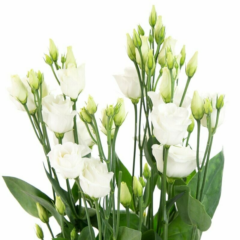 fleurs de mariage