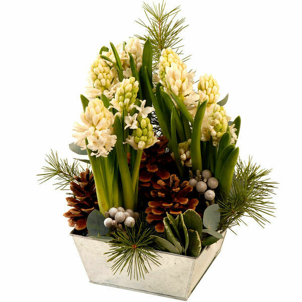 Pyramide de Noël !