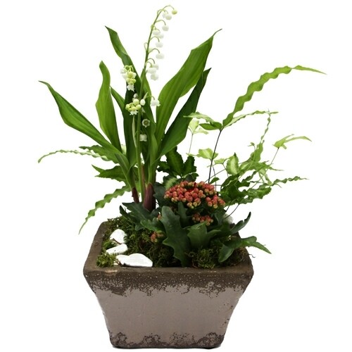 composition de Muguet
