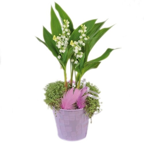 composition de Muguet