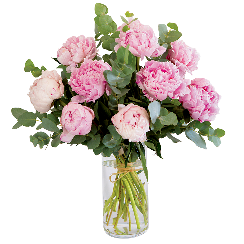 Bouquet de Pivoines SARAH BERNARD livraison par votre Fleuriste de montaigu-Vendée
