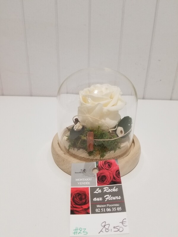 disponible en Magasin # 23