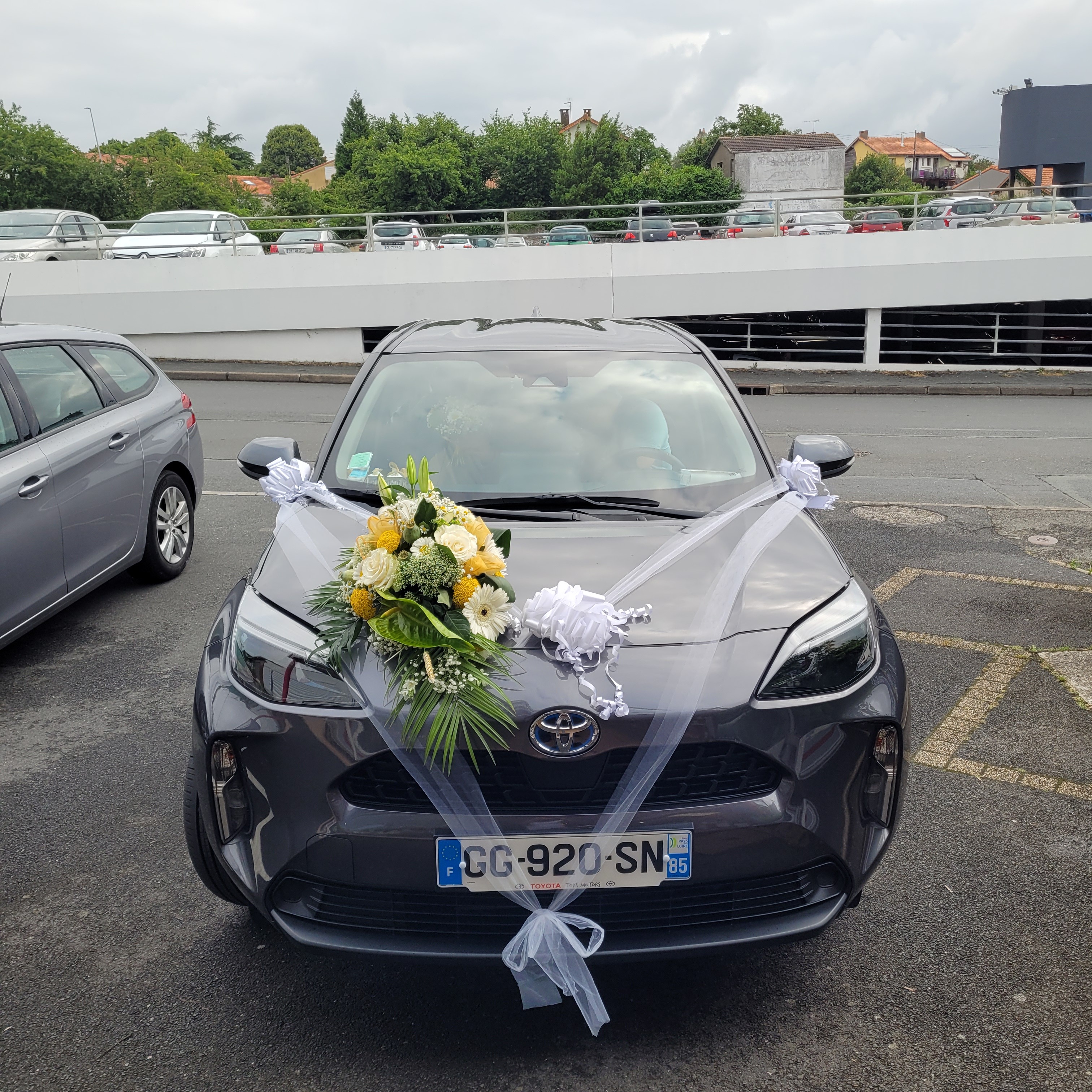 Déco de Voiture par ventouse sur Capot