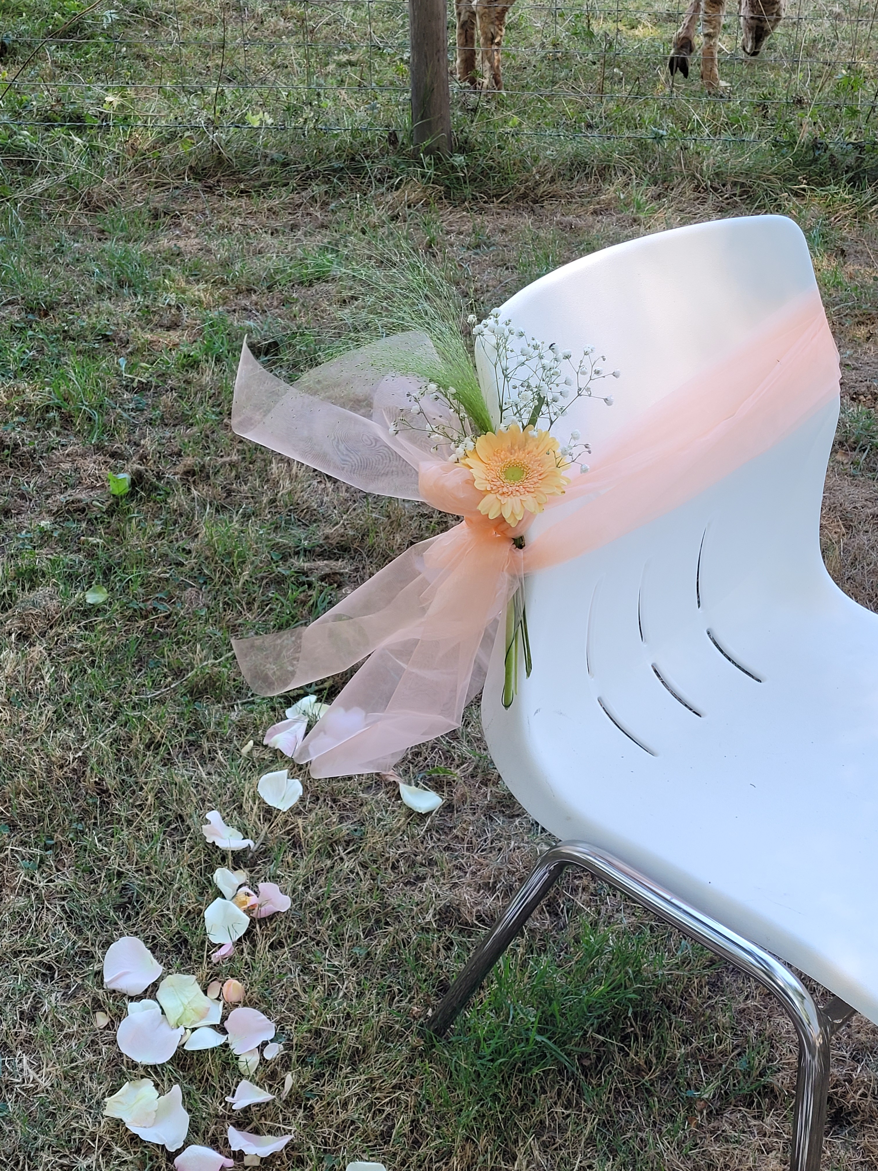 allée de cérémonie - Déco de Chaise - Bout de Banc