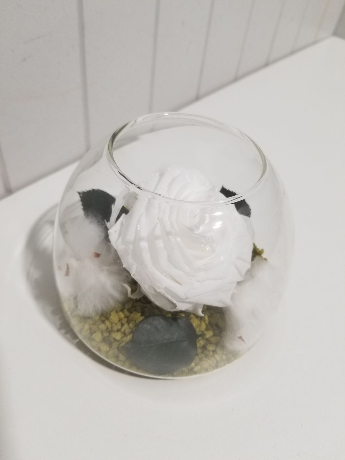 disponible en Magasin # 62 rose éternelle blanche 