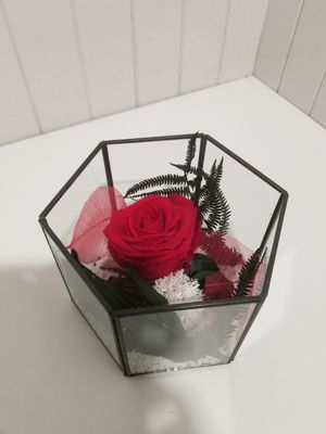 disponible en Magasin # 44