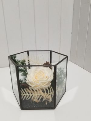 disponible en Magasin # 46, composition séchée 
