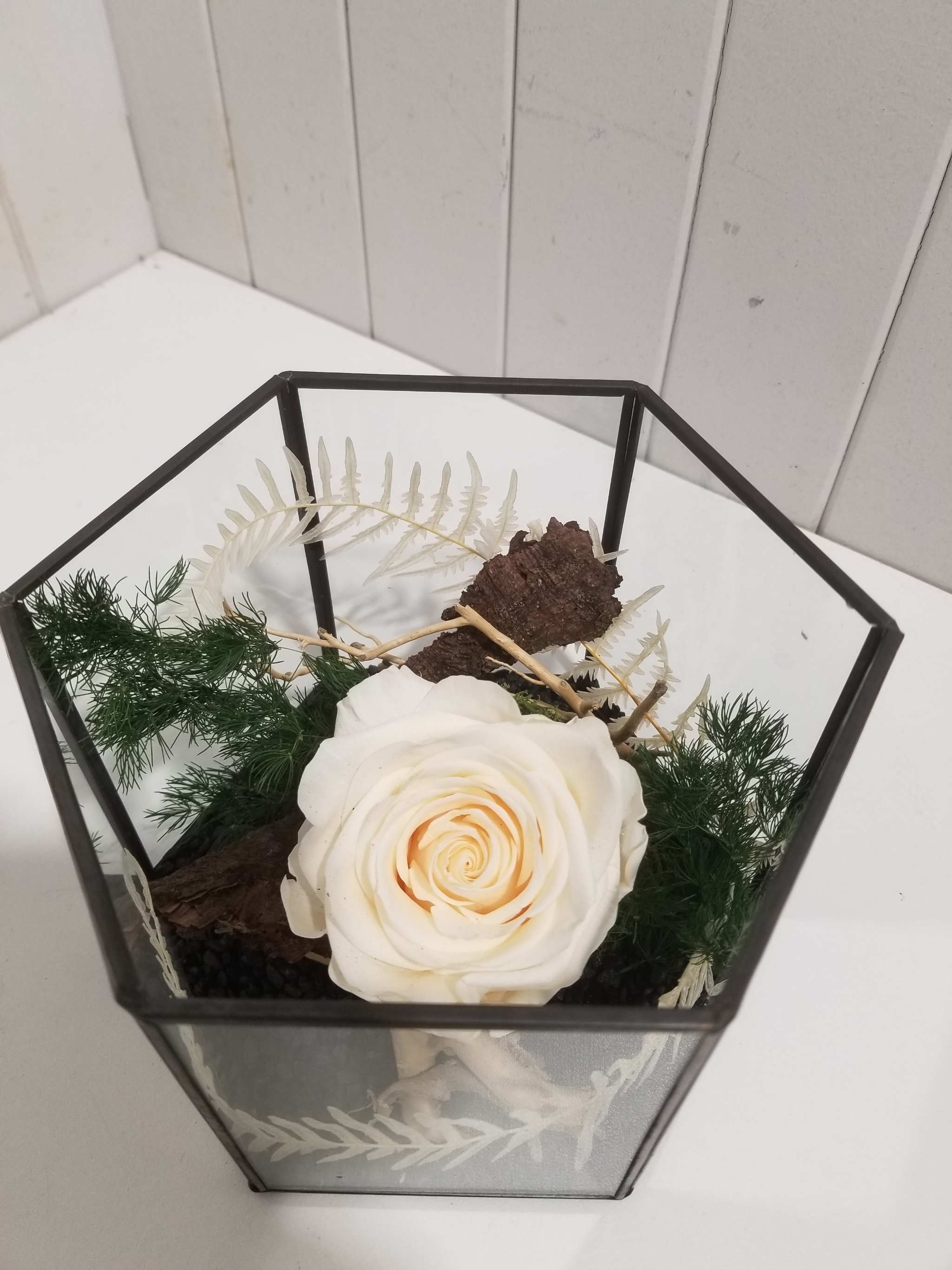 disponible en Magasin # 46, composition séchée