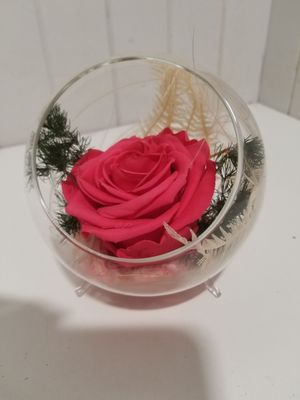 disponible en Magasin # 10 disponible en Magasin # 10