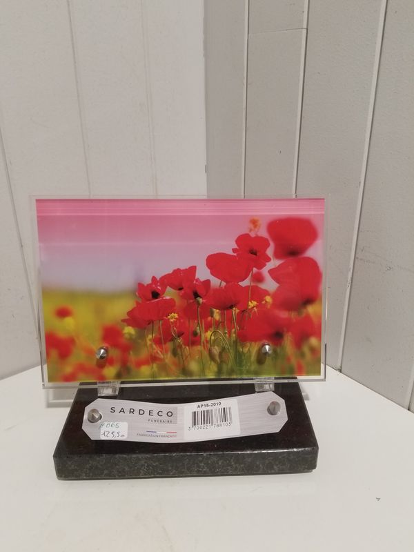 Plaque Funéraire #865 Plaque Funéraire #865