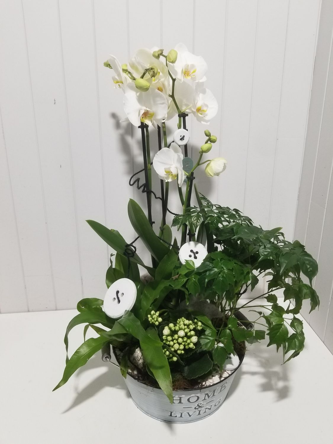 disponible en Drive et en Livraison # 90 disponible en Drive et en Livraison # 90