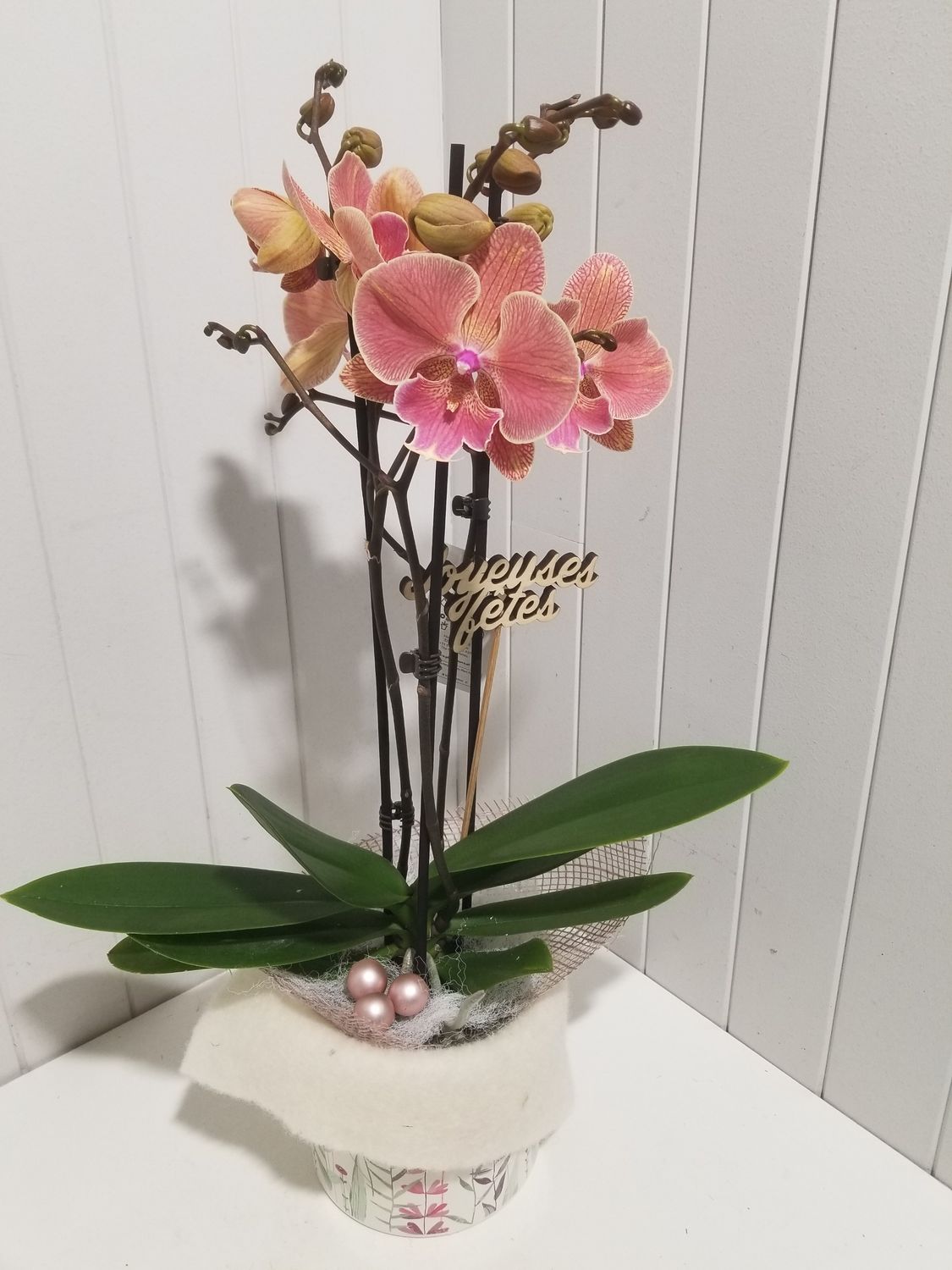 Disponible en magasin # 8 Disponible en magasin # 8