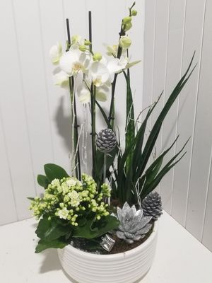 disponible en Drive et en Livraison # 89 disponible en Drive et en Livraison # 89