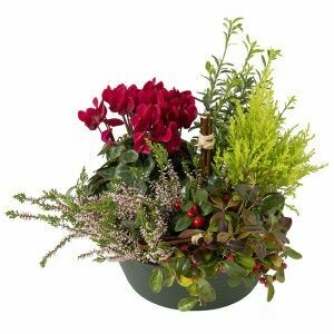 coupe de plantes Vertes et Fleuries pour l'extérieur TENDRE HOMMAGE