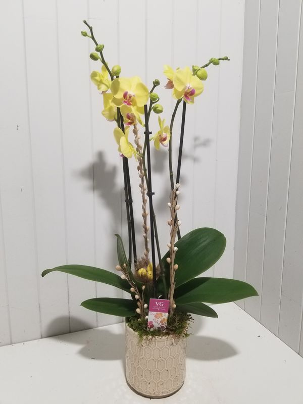 disponible en Magasin # 26