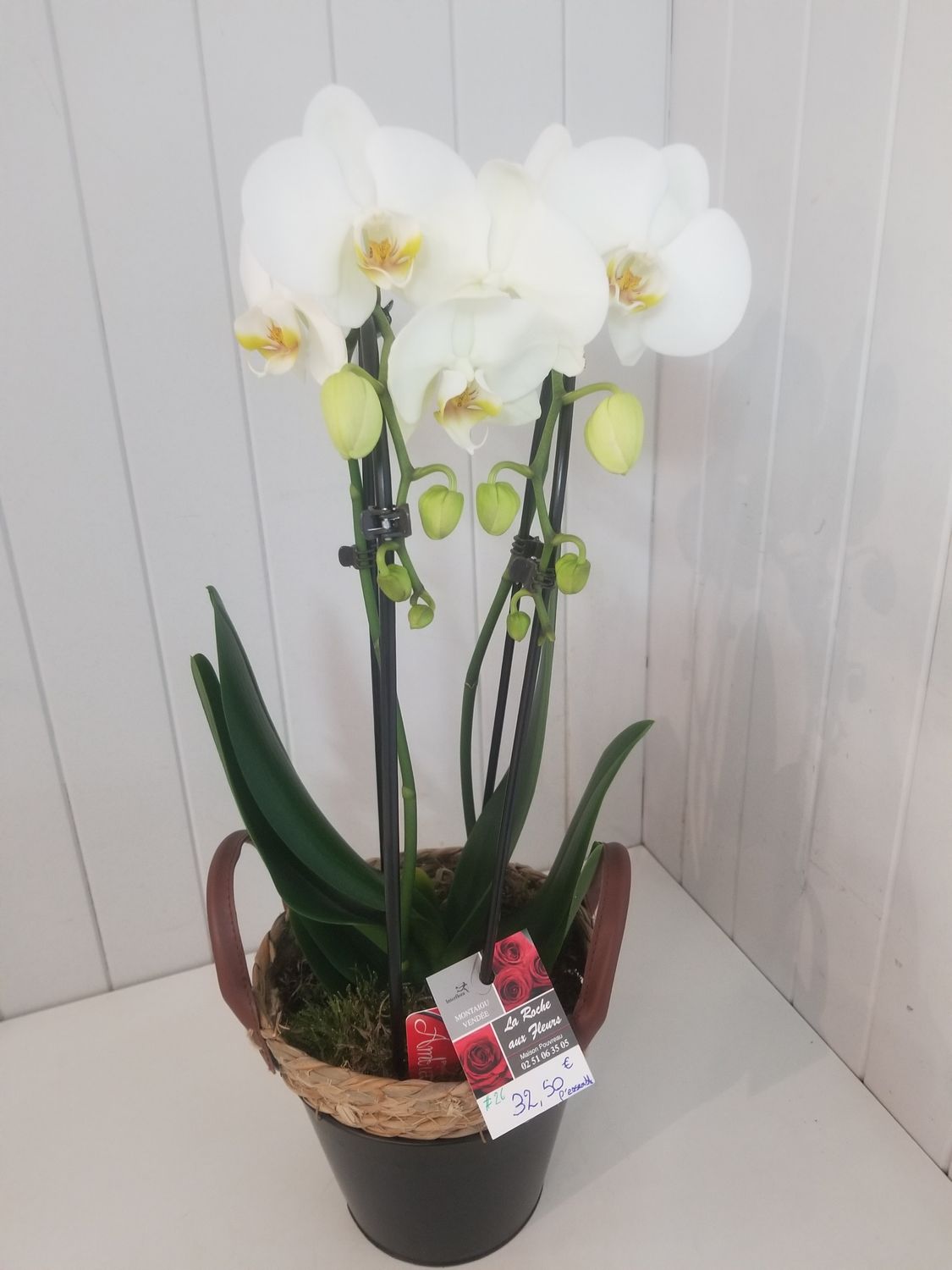 disponible en Magasin # 26