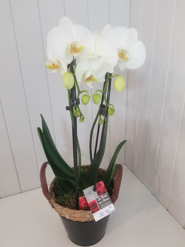 disponible en Magasin # 26