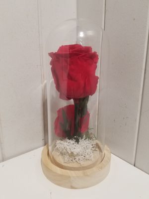 disponible en Magasin # 35