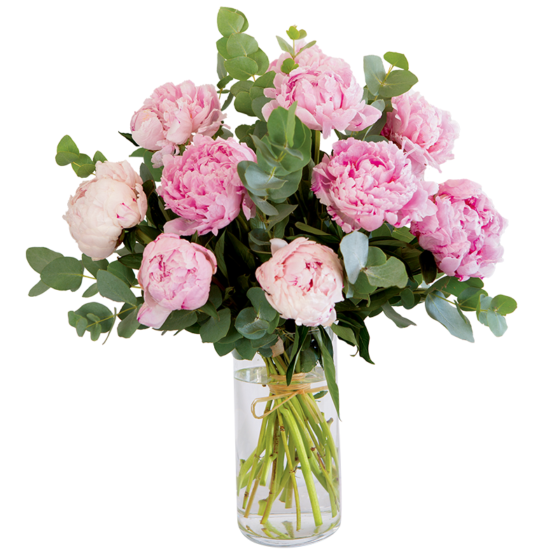Bouquet de Pivoines SARAH BERNARD livraison par votre Fleuriste de montaigu-Vendée Bouquet de Pivoines SARAH BERNARD livraison par votre Fleuriste de montaigu-Vendée